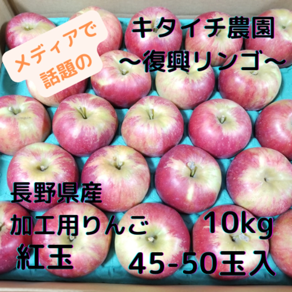 規格外・B品】長野県産 キタイチ果樹園直送 復興りんご 紅玉 40～50玉 