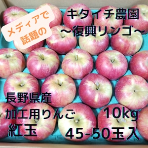 【規格外・B品】長野県産 キタイチ果樹園直送 復興りんご 紅玉 40～50玉 10kg 加工用 業務用