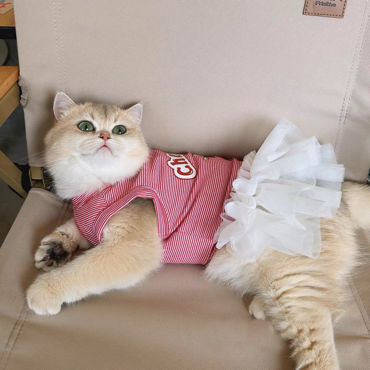 Cherry Cakeワンピース 猫服 キャットウェア ボーダー さくらんぼ