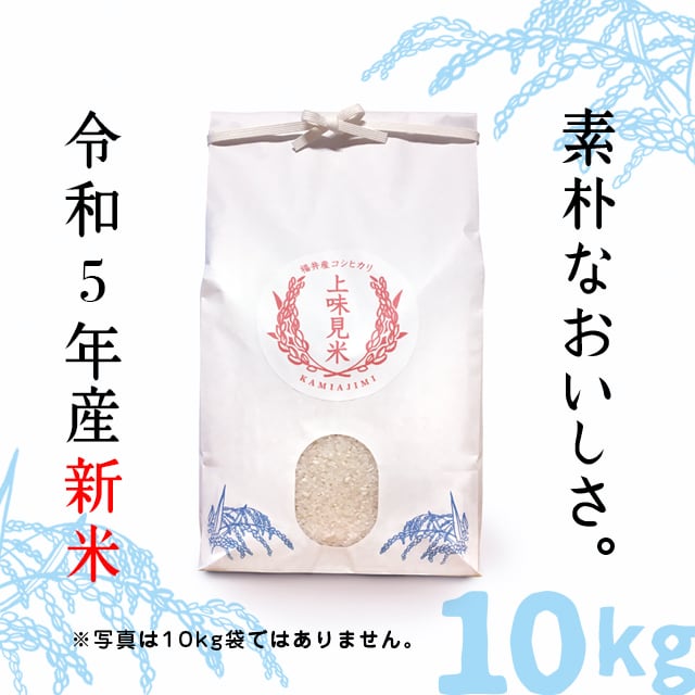 令和5年度 栃木県産コシヒカリ 玄米30キロ