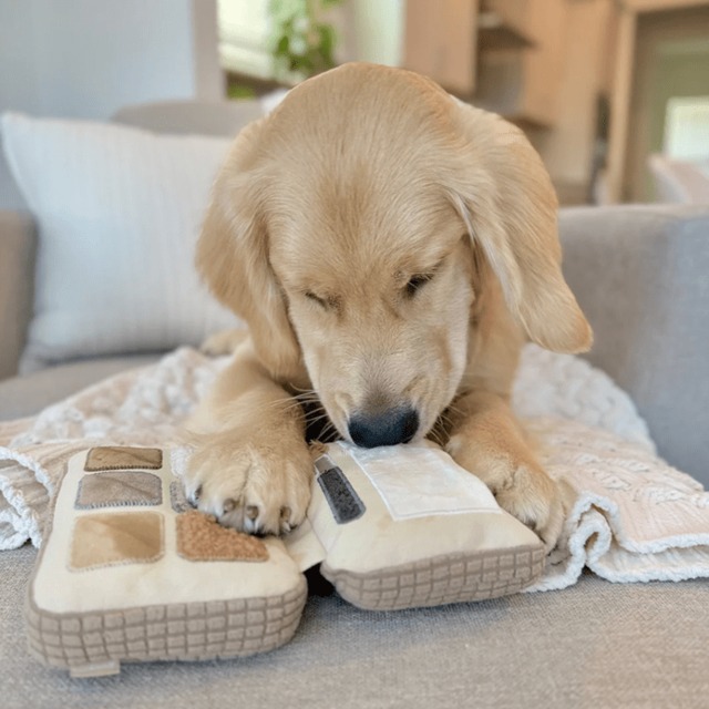 新商品！犬用おもちゃ・ノーズワークトイ【lambwolf】アイシャドウパレット