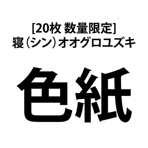 [20枚 数量限定] 寝（シン）オオグロユズキ色紙