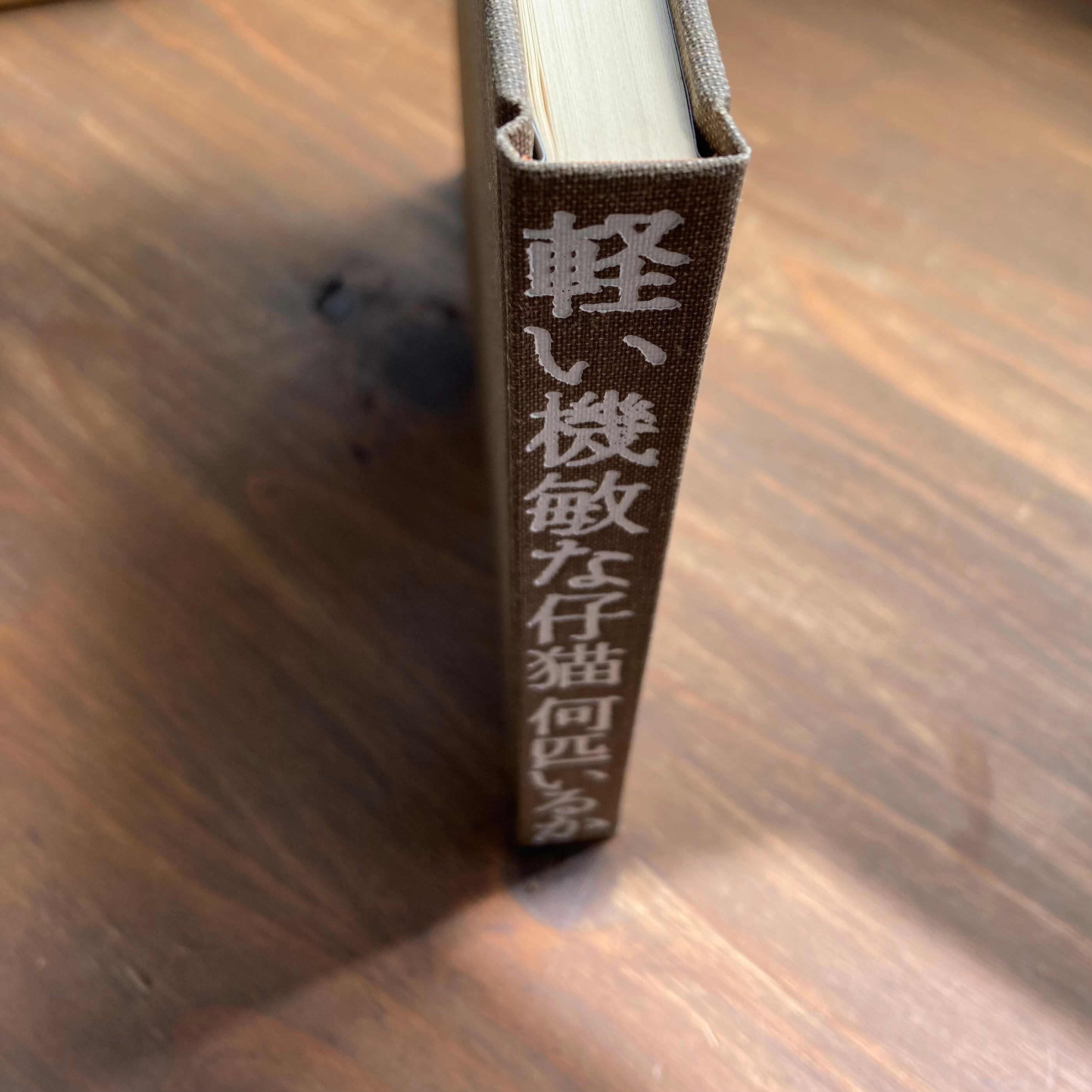 土屋耕一回文集 軽い機敏な仔猫何匹いるか | 風文庫 kazebunko