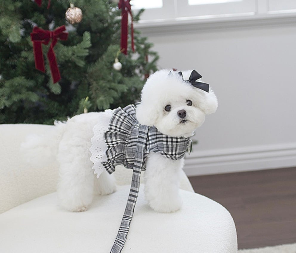 〖予約〗C0029 ローベルハーネスset(リード付)