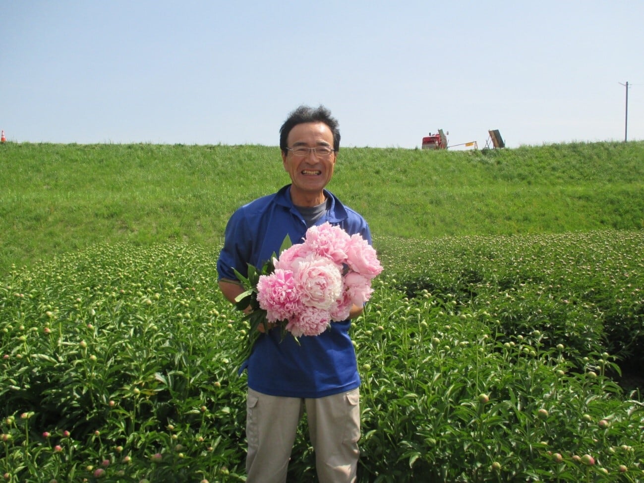 ☆今年も販売します!!色々品種30本☆ 産地直接依頼商品 芍薬 ピンク系MIX 先行予約受付中!!  Jp-Farmers.com