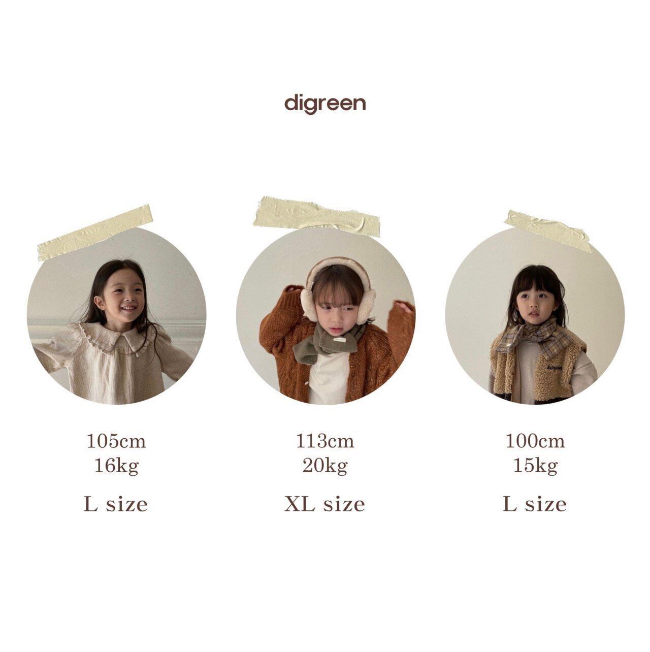 sold out» digreen Alps duckdown jacket アルプスダウンジャケット