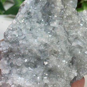 3.空色セレスタイトに住み着いているフローライトハリネズミさん