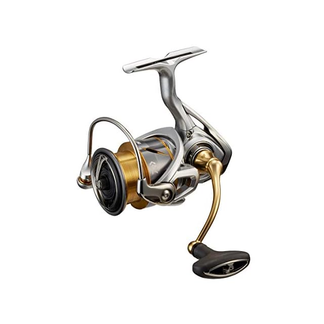 ダイワ(DAIWA) 21 フリームス LT3000-CXH | essential