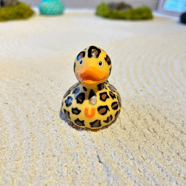 レオパルドダック ミニ Budduck