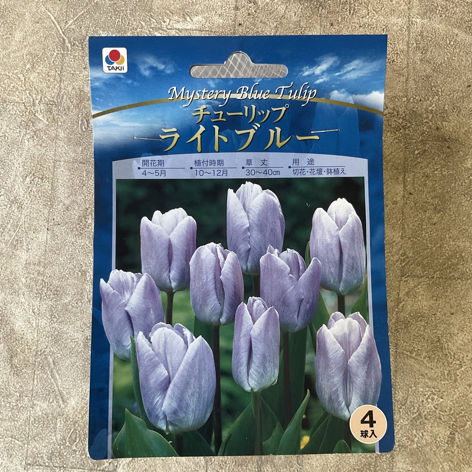 アウトレット】アジサイ マジカル レッドアメジスト 8寸鉢 30%off