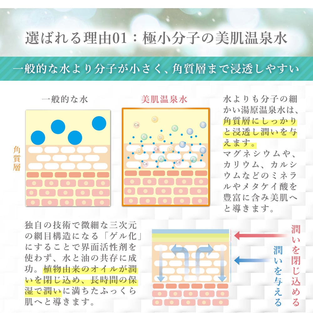 詰め替え用》naturel ゲルクリームPLUS オールインワンゲル 600g（ご
