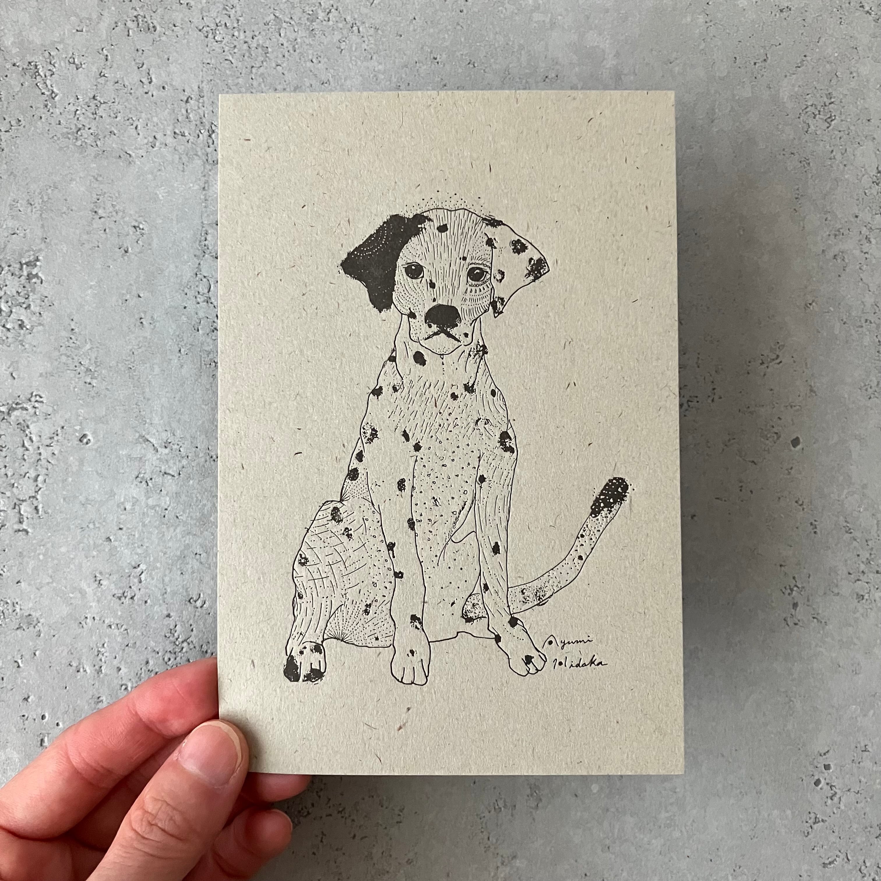 ダルメシアンの活版印刷ポストカード | 日高あゆみ / ペン画アーティスト