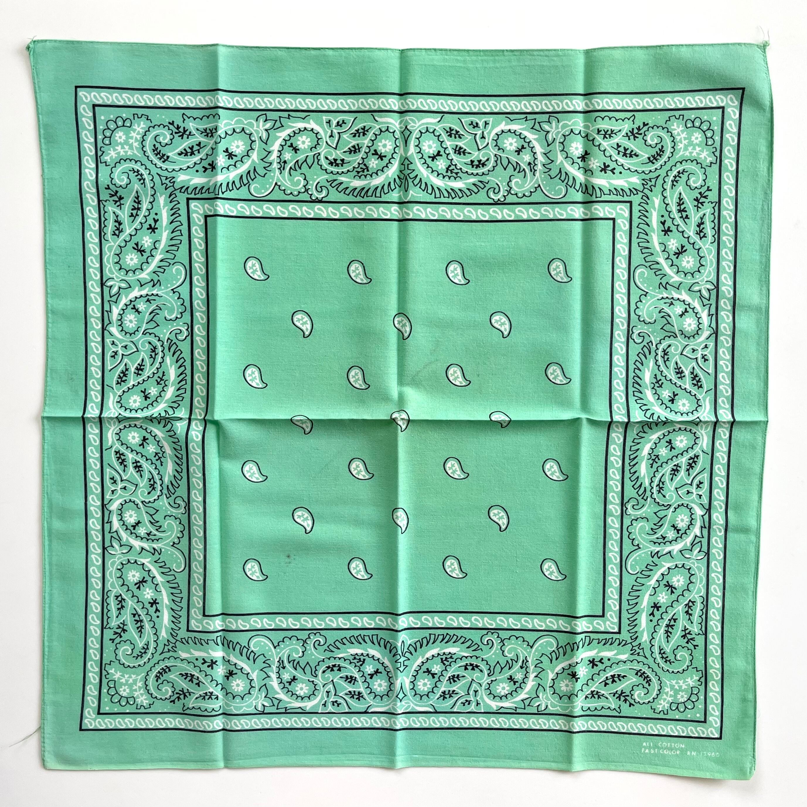 ミントグリーン！】70s~ RN13960 Paris paisley ヴィンテージ バンダナ
