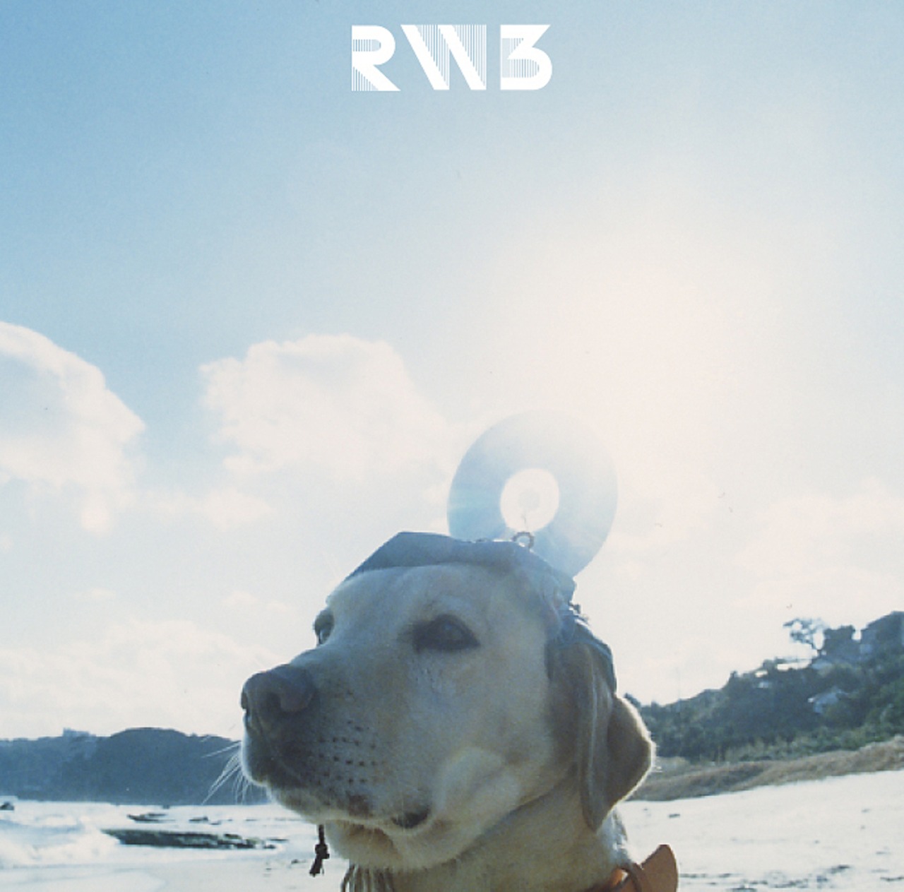 【限定盤】RADWIMPS「RADWIMPS3~無人島に持っていき忘れた一枚~」アナログ盤(12インチ2枚組)