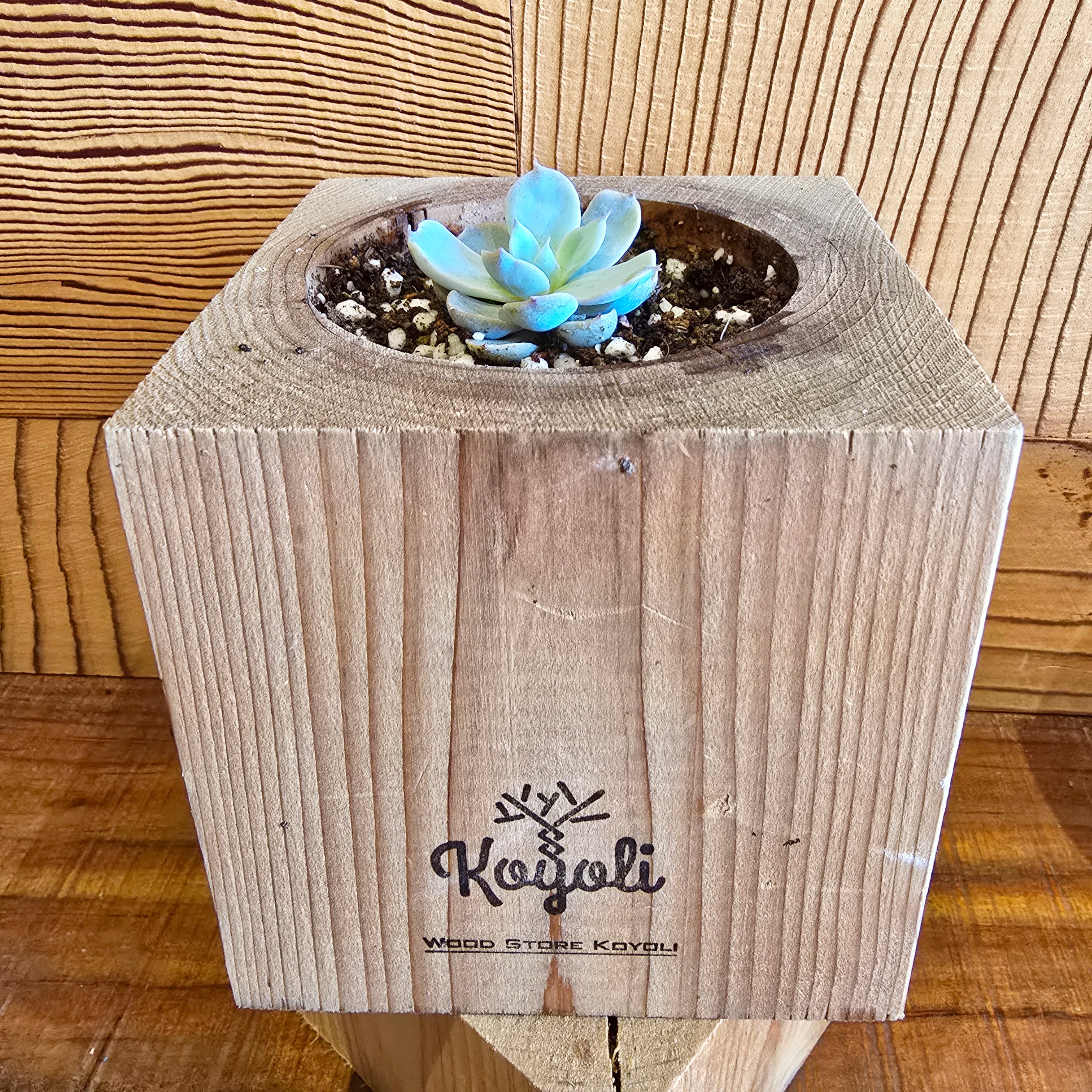 木の植木鉢 Short | Wood Store koyoli