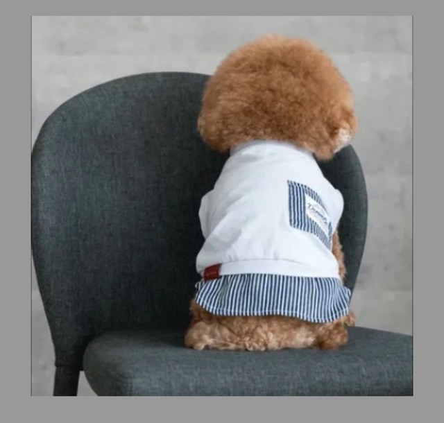 ペット服 犬服 犬用服 ヒッコリー切替タンクトップ ドッグウェア XS〜3L 小型犬 中型犬 大型犬 春夏秋 通気性 伸縮性 おしゃれ 可愛い カジュアル ストライプ デニム風 スポーティ 散歩 お出かけ 部屋着 インスタ映え ペットウェア 犬用品 重ね着にも