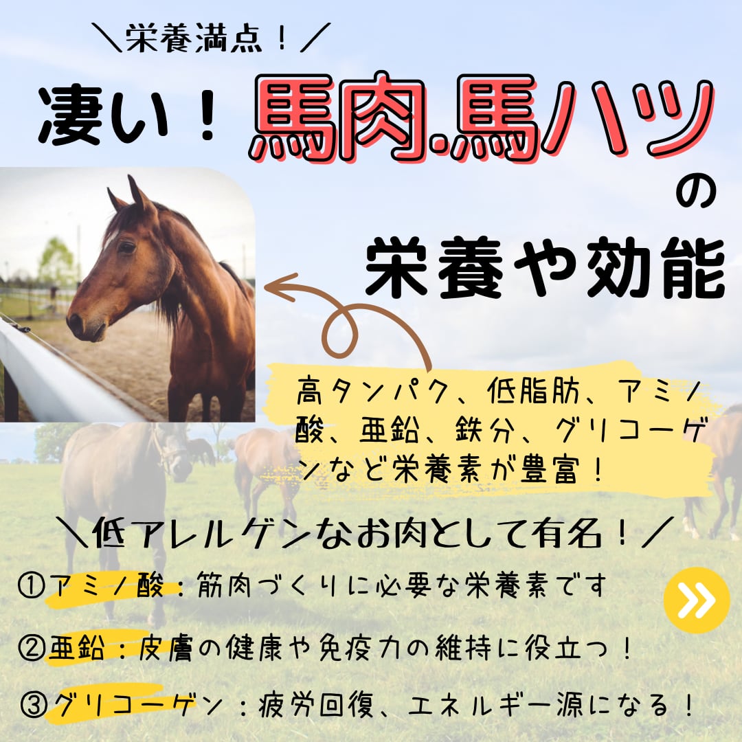 やぎミルク入りおからバーグ 各種お得セット