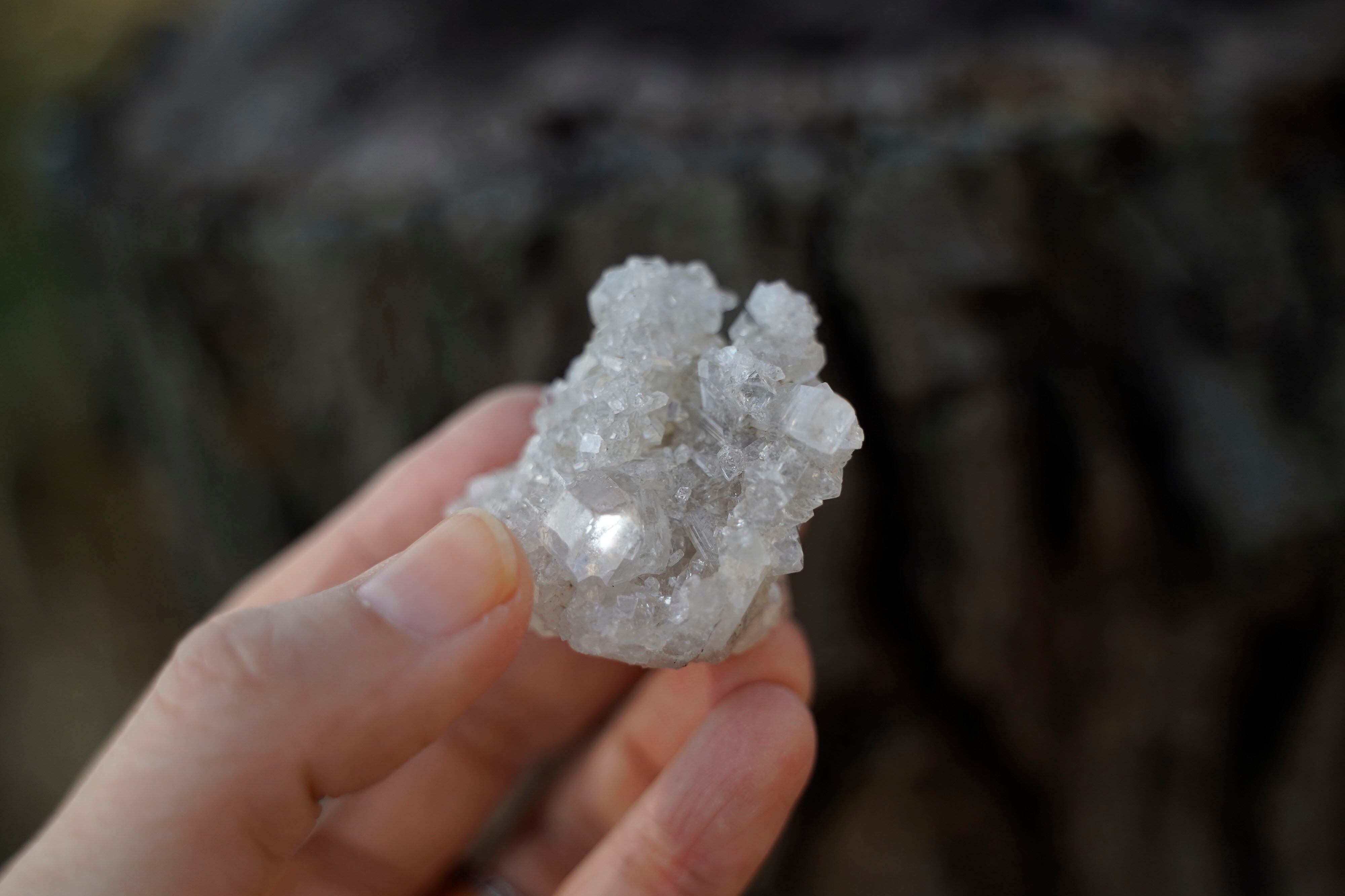 石｜石屋のcoji | coji