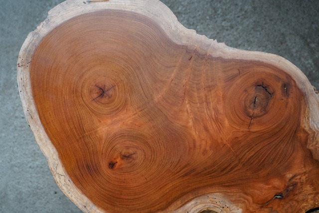 欅の輪切り　一枚板　ローテーブル　リビングテーブル