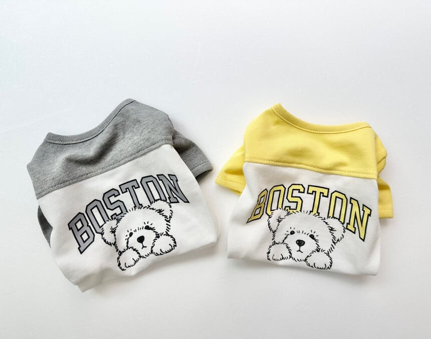 【即納】№Z0178 Boston T shirt