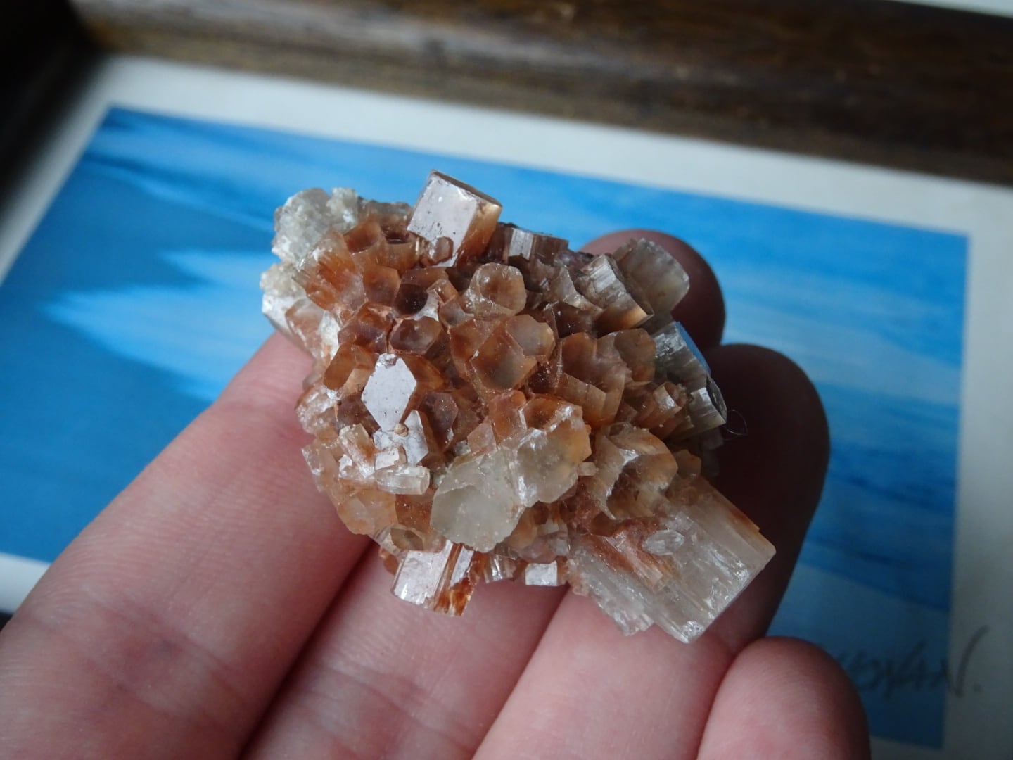 モロッコ産アラゴナイトクラスター | 虹石屋