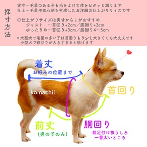 オレンジパーカー