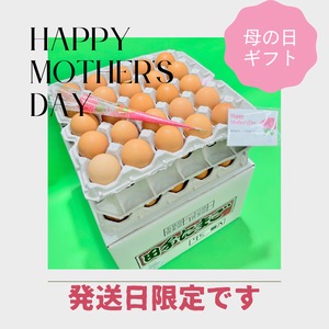 【Happy　Mother′s　Day】早割　母の日ギフト！！10％OFF【～4/30（火）までのご注文限定】平飼い有精卵　75個（25個入り×3段）