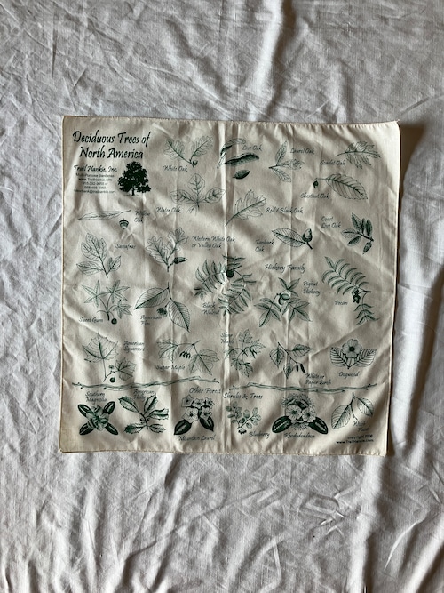 TRAIL HANKIE DELICOUS TREE BANDANA 1