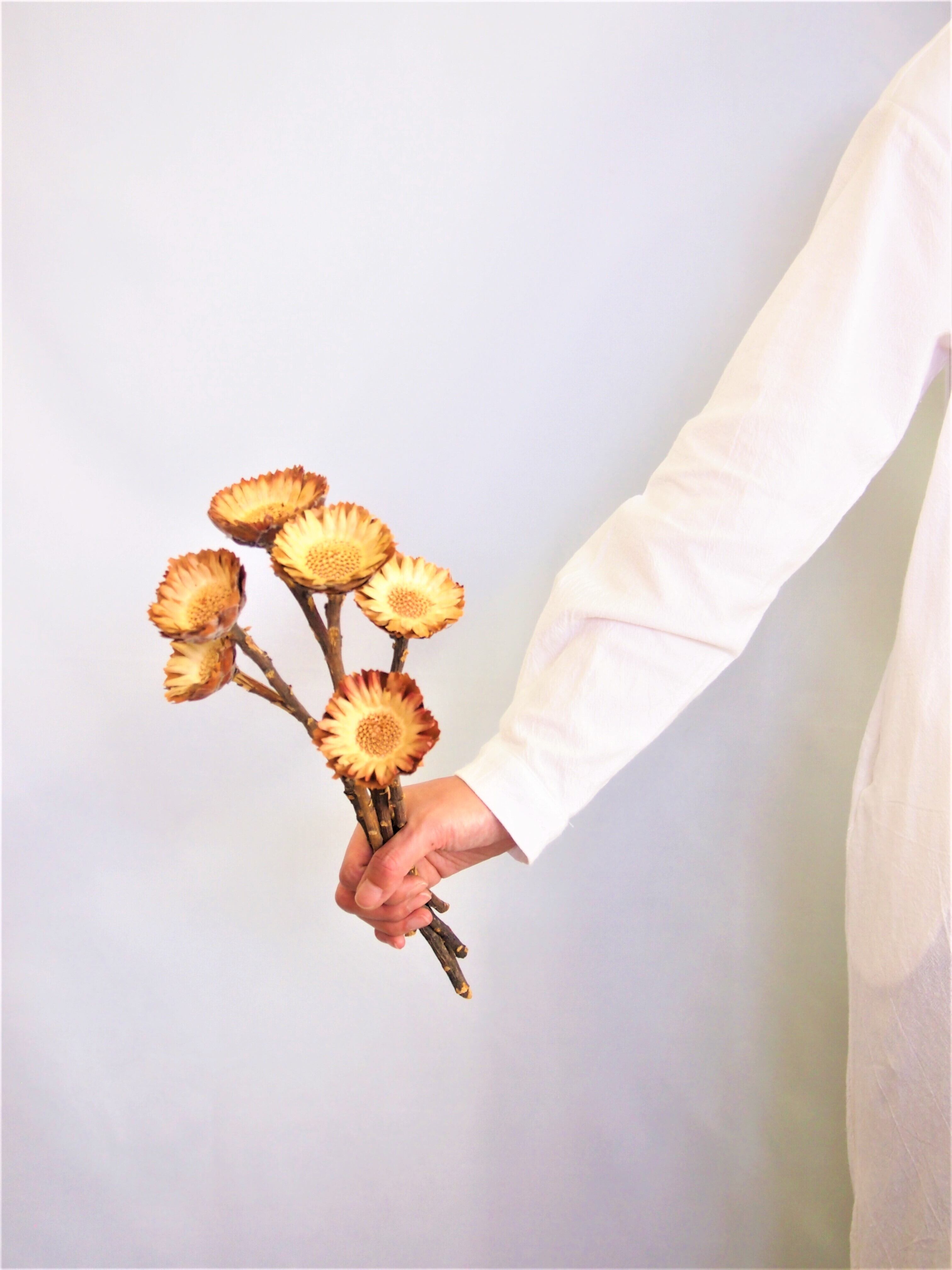 れています コンパクターメインのスワッグ By Lavande ラクマ 送料込み の通販 ースに