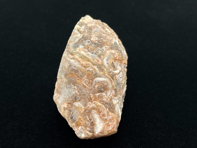 オープンジオード