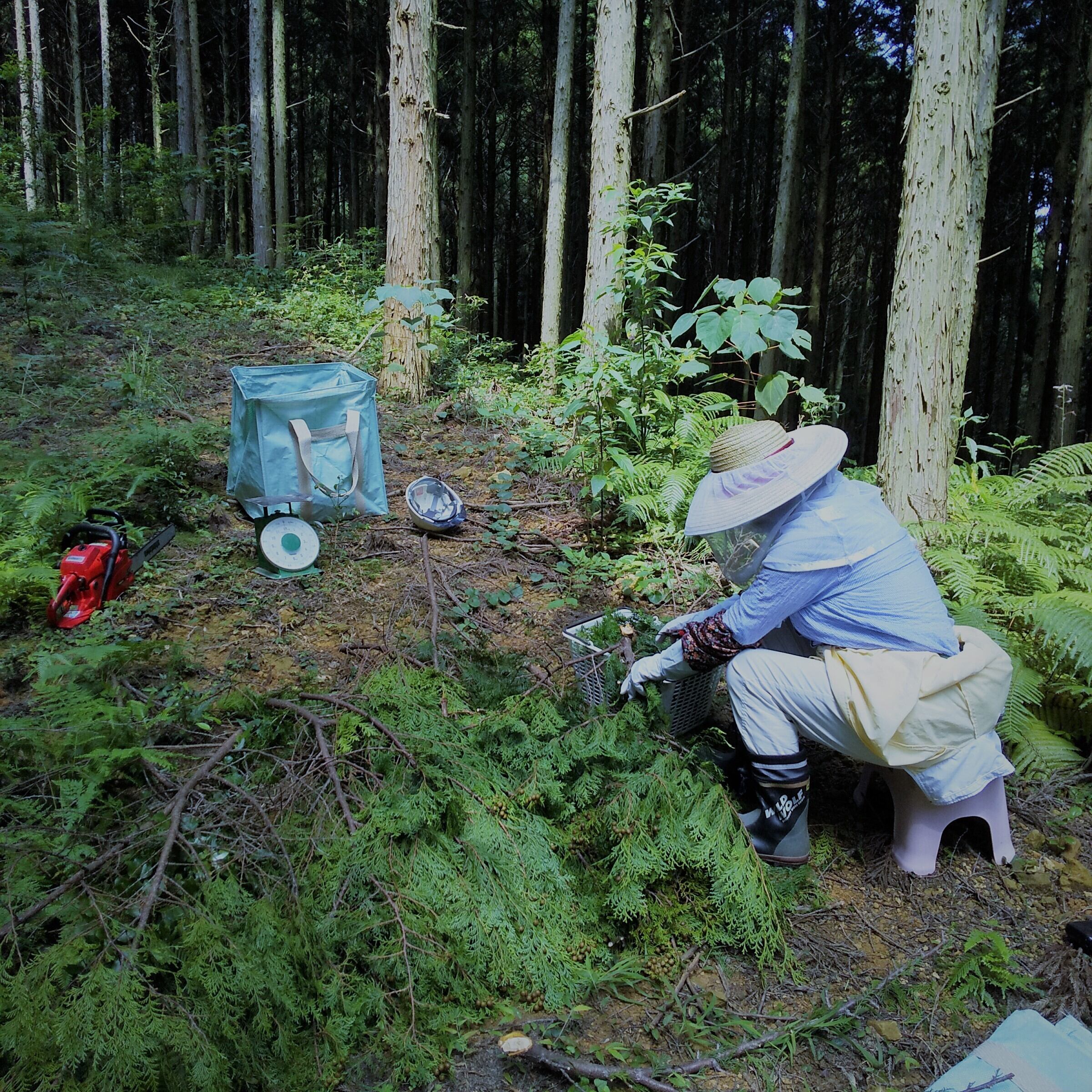 天草ヒノキ・ ルームスプレー 50㎖ 「REFRESH」（ヒノキ蒸留水＋ヒノキ