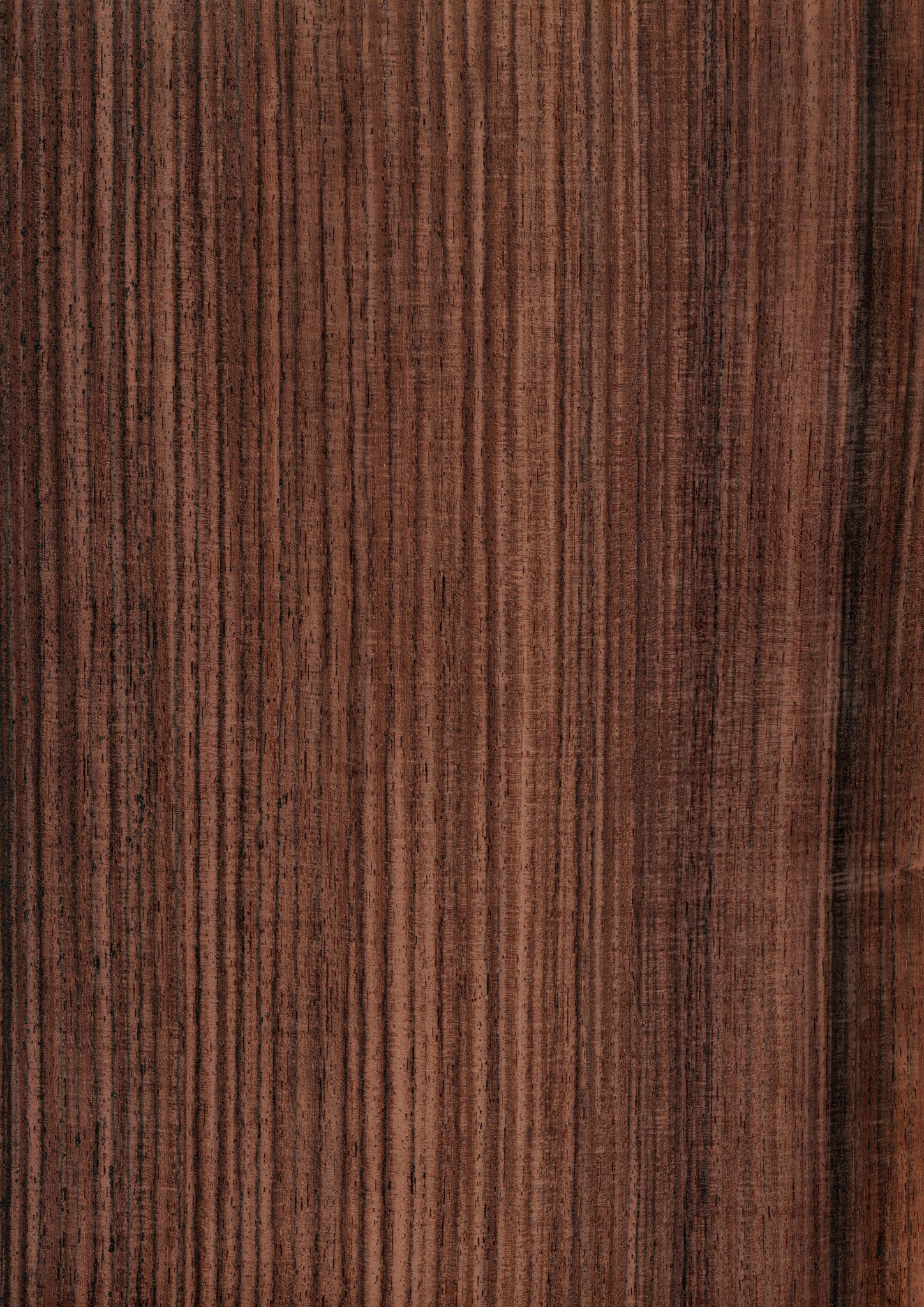 天然木ツキ板シート ローズウッド 茶色系 900mm×1800mm | poke