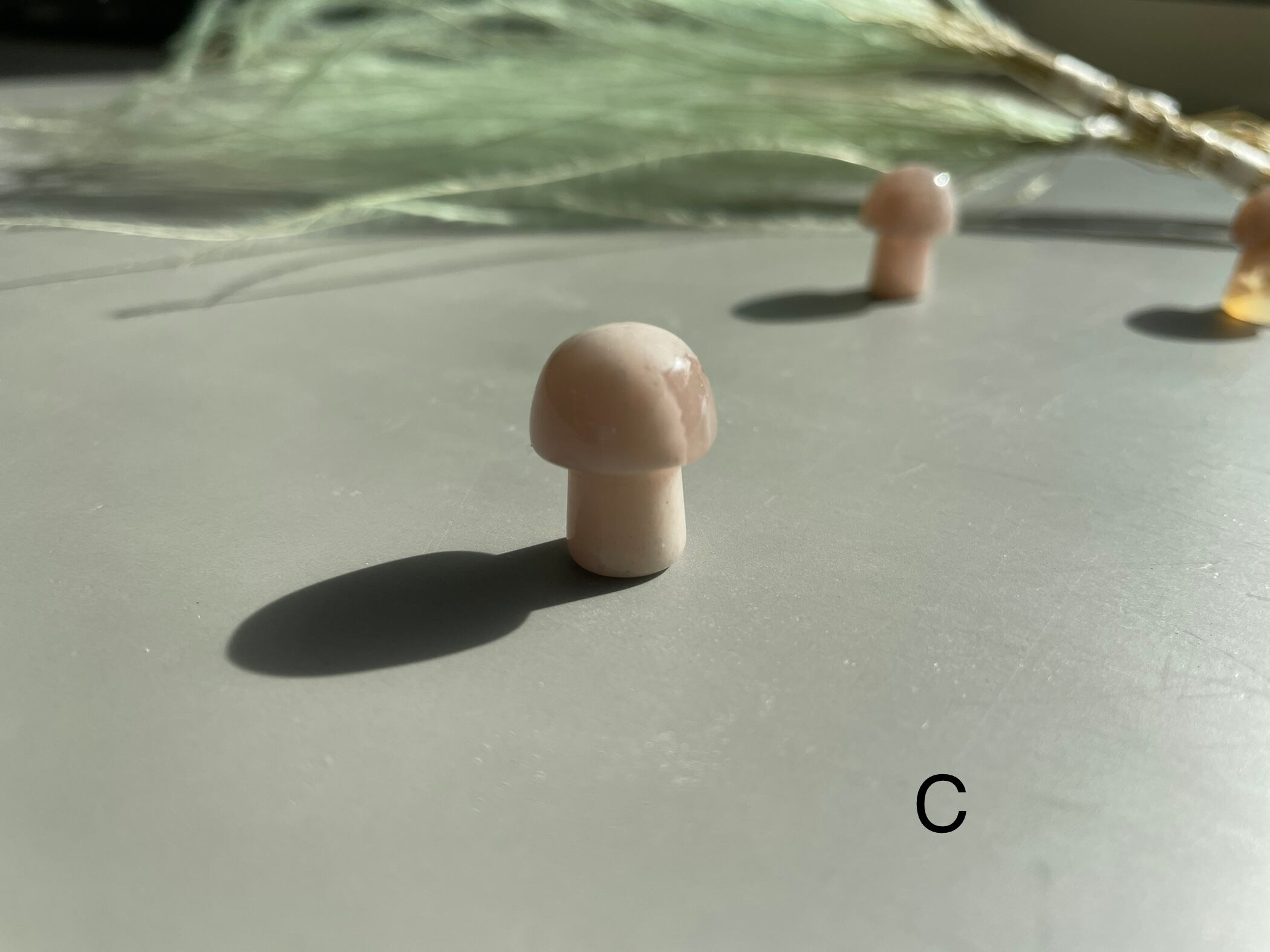 桜めのう　きのこ