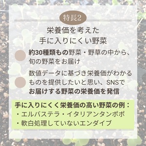 ＜クール便・金曜日発送＞【おためしサイズ】季節のお野菜セット