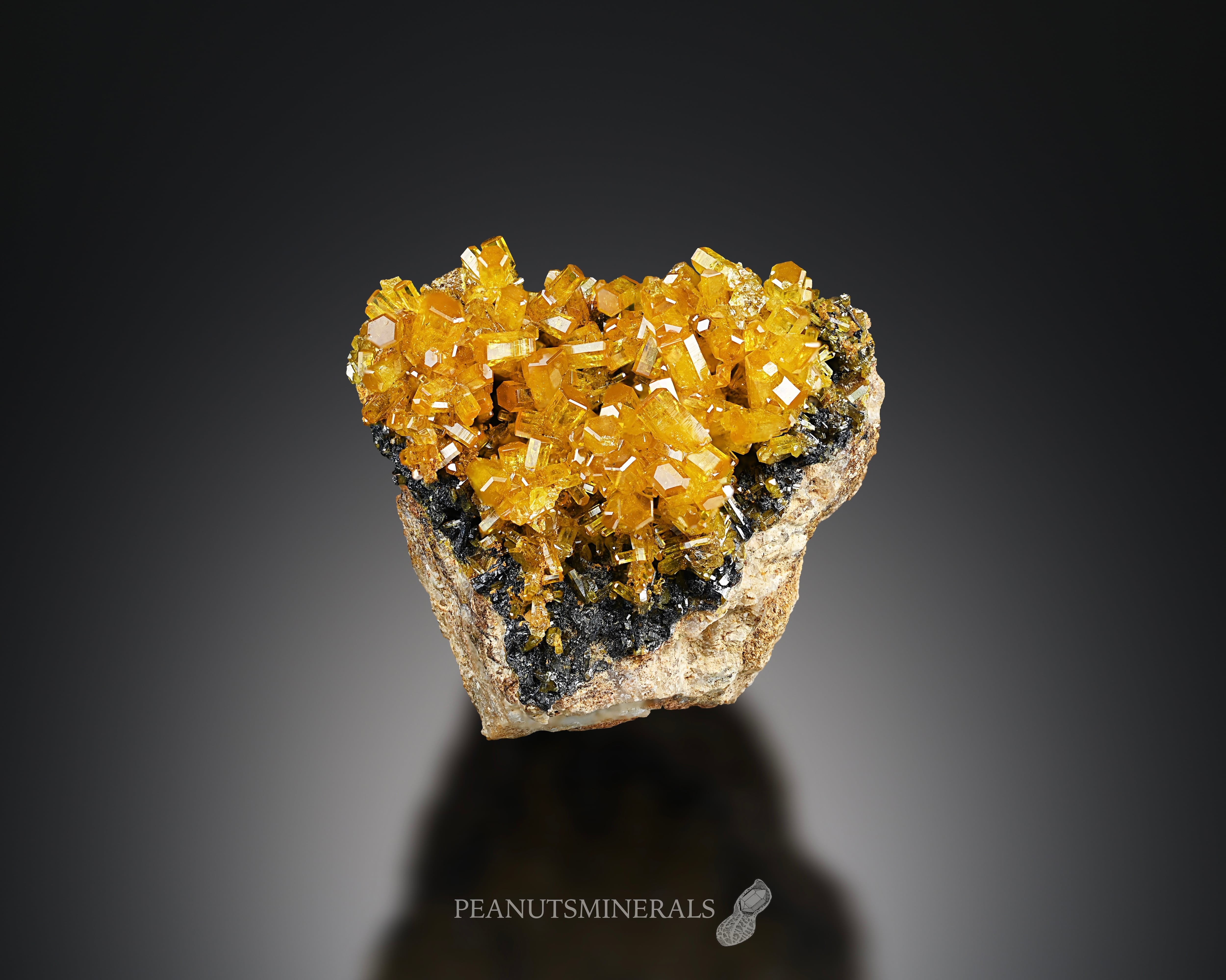 5bae98fe825728da74ef4b15addac5