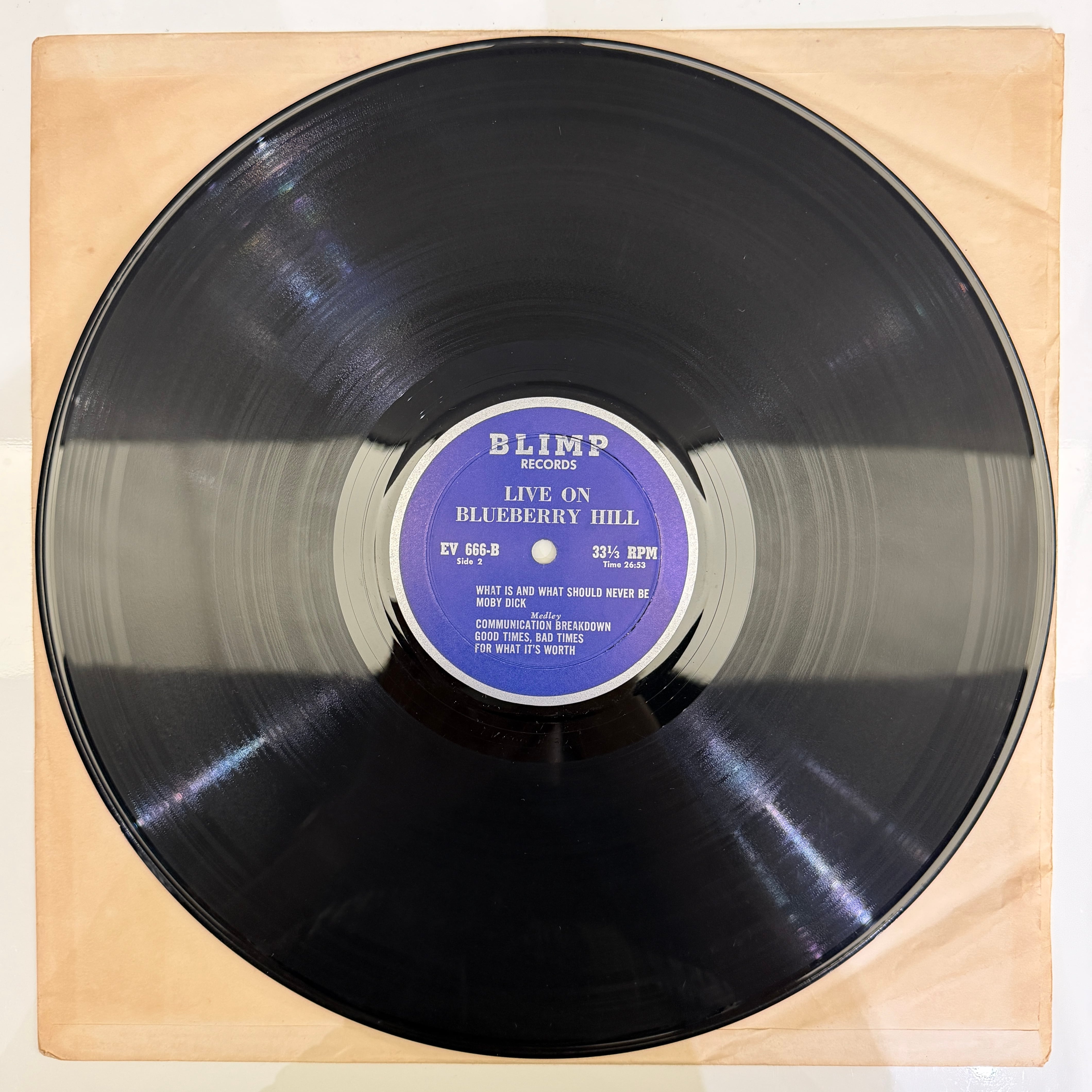 LED ZEPPELIN / Live On Blueberry Hill | 中古レコード通販｜HIPHOP