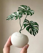 <予約販売> Monstera deliciosa variegated｜Leather Botanical Collection｜SISHICRAFT × tokyoplants｜日本初展開