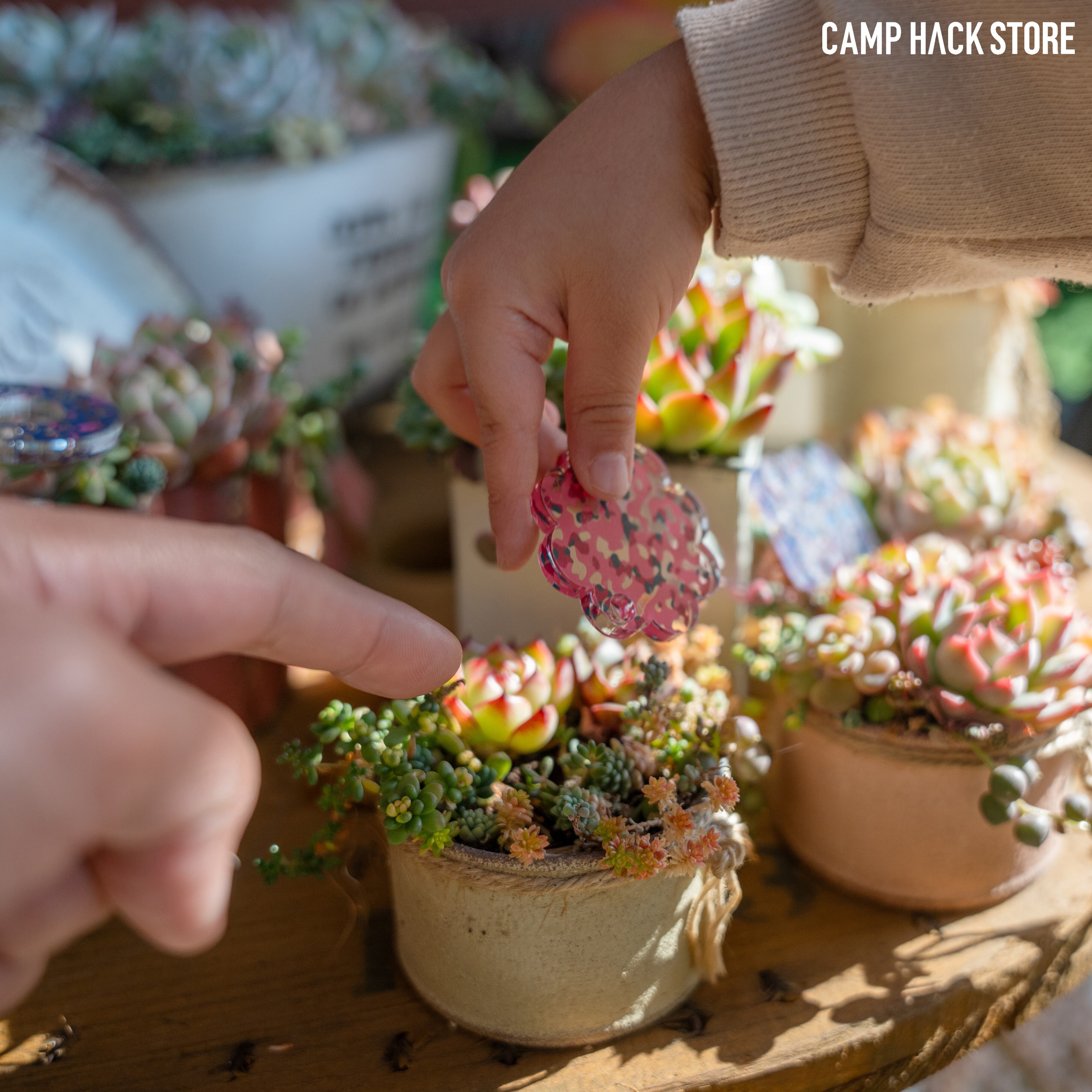 見つけられるかな〜？「ミッケ」 | CAMP HACK STORE