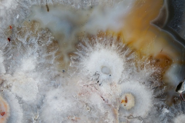 ブラジル産アゲート Agate 1339