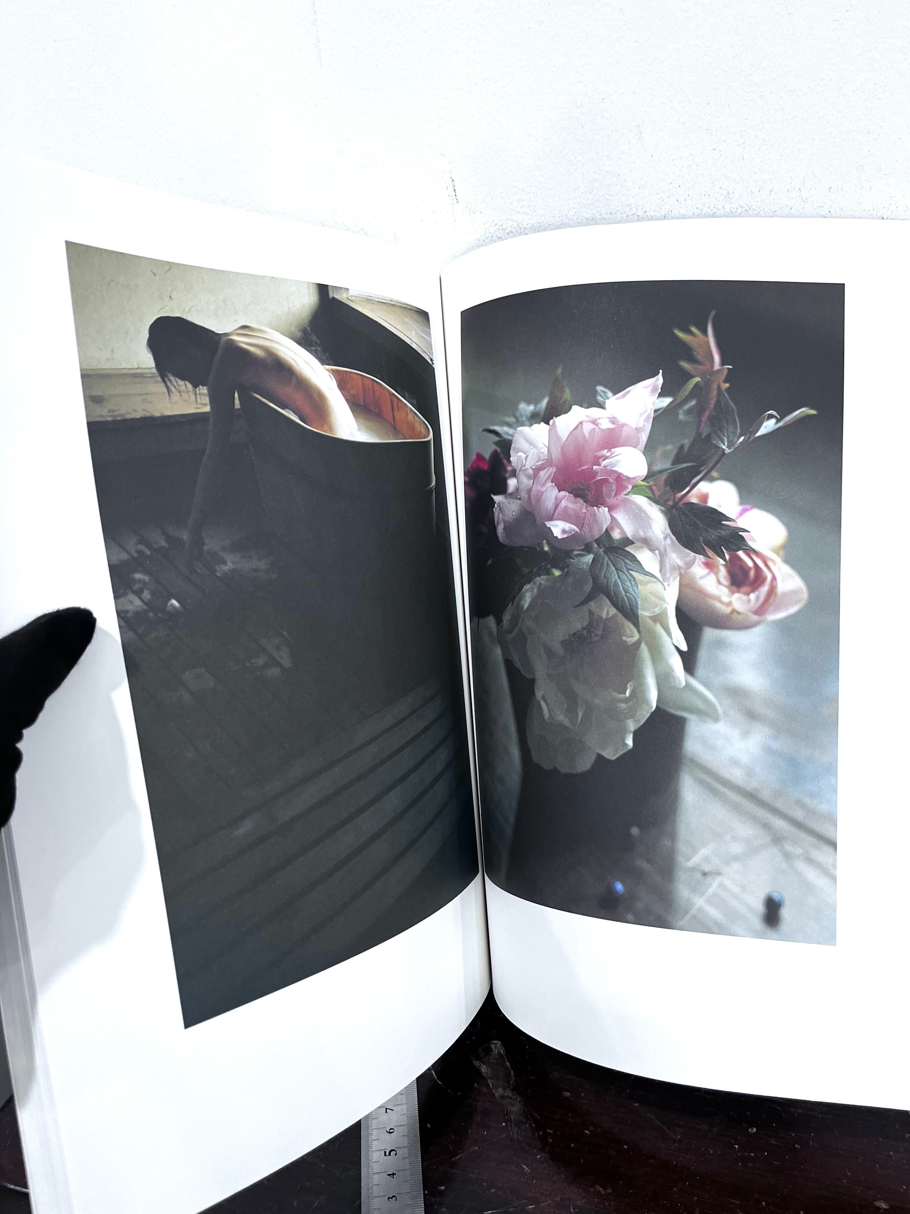 「美咲」伊東美咲 写真集/上田義彦 作品集 美咲 伊東美咲写真集 / 上田義彦 | 百年