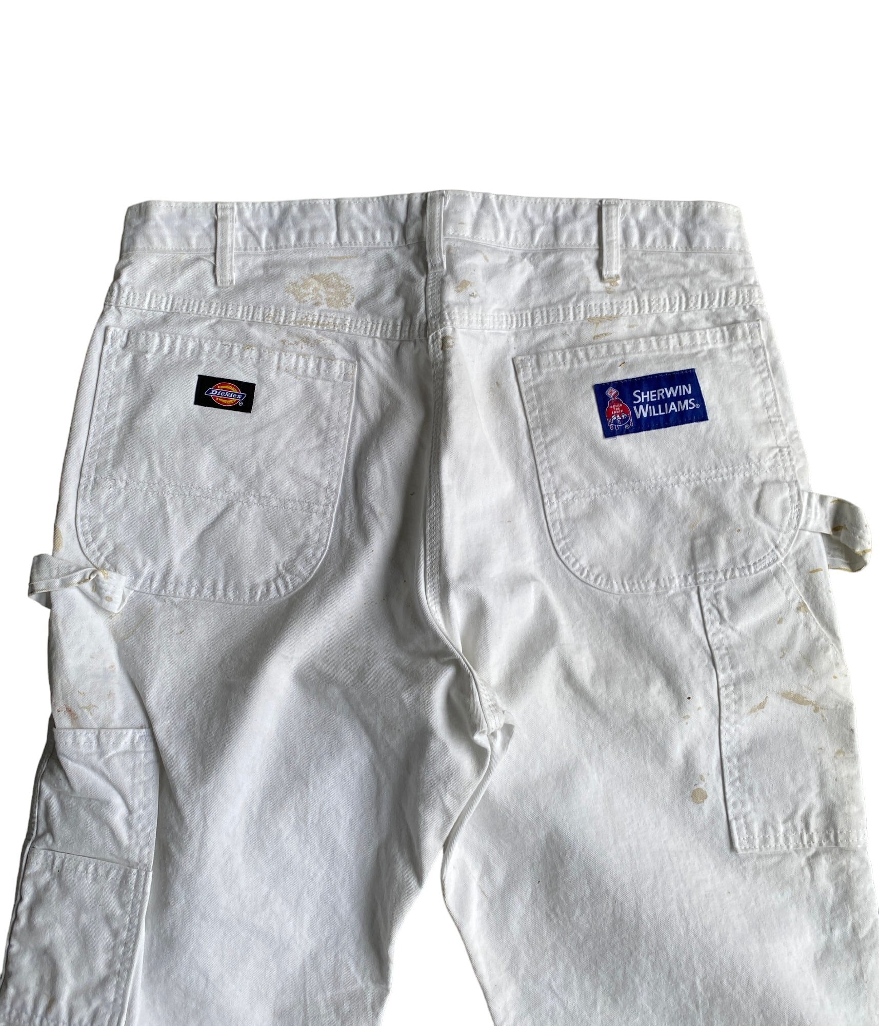 Dickies Sherwin Williams mafuctional Painter