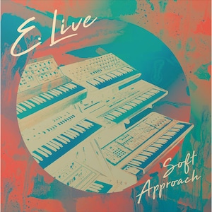 〈残り1点〉【LP】E.Live - Soft Approach