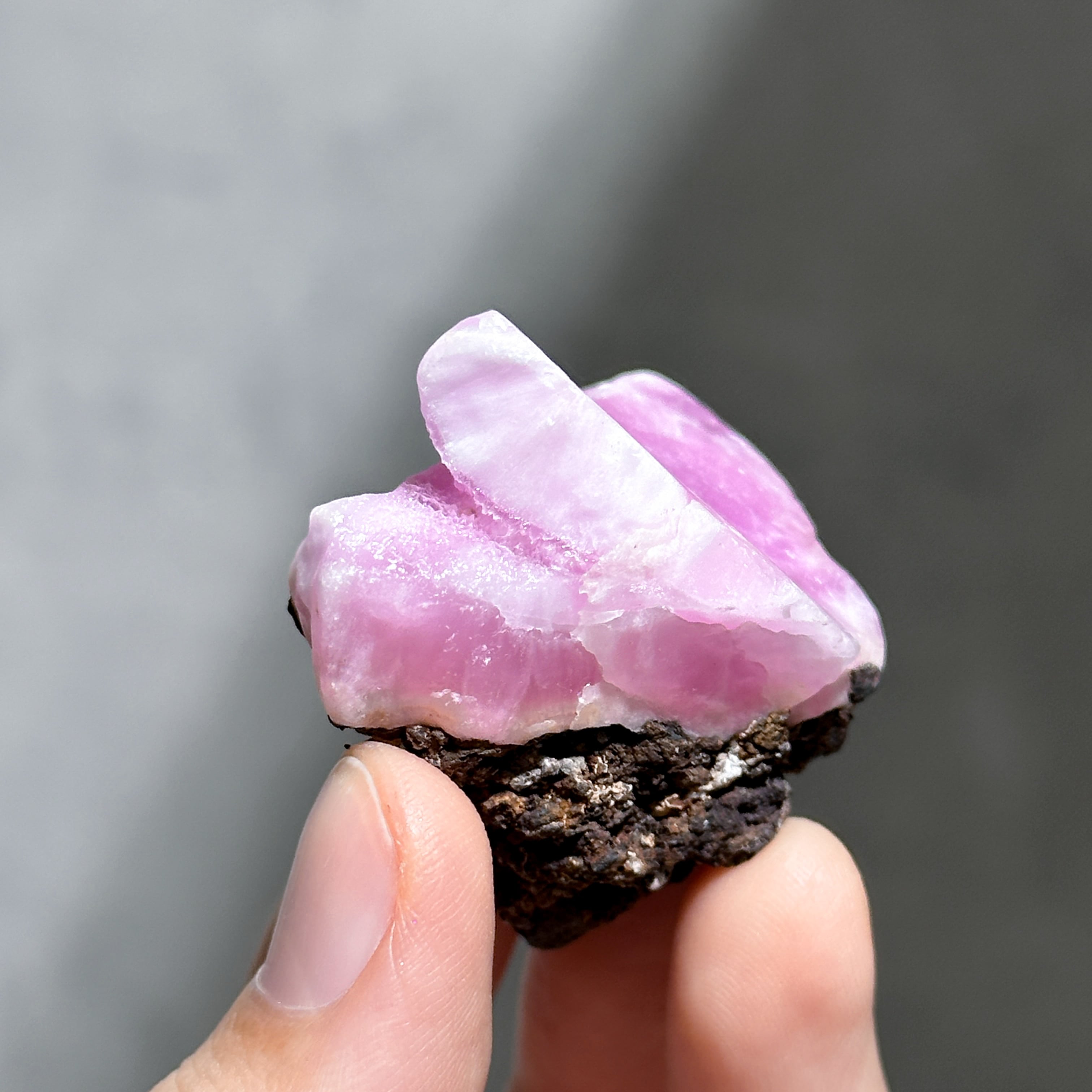 ピンクアラゴナイト 原石 23◇ Pink Aragonite ◇天然石・鉱物