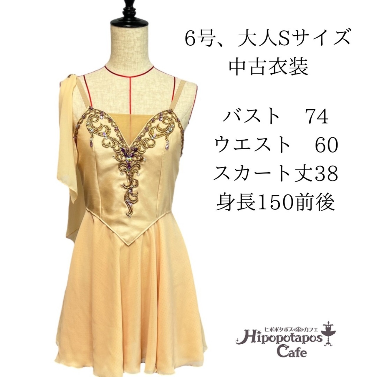 C-10（中古衣装） タリスマン≪バレエ衣装≫ | バレエ衣装・ティアラの 
