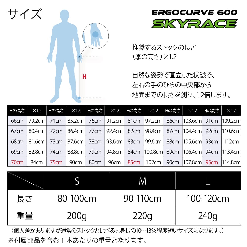 お試しレンタル購入サービス】 N&W Curve Skyrace600 アルミポール