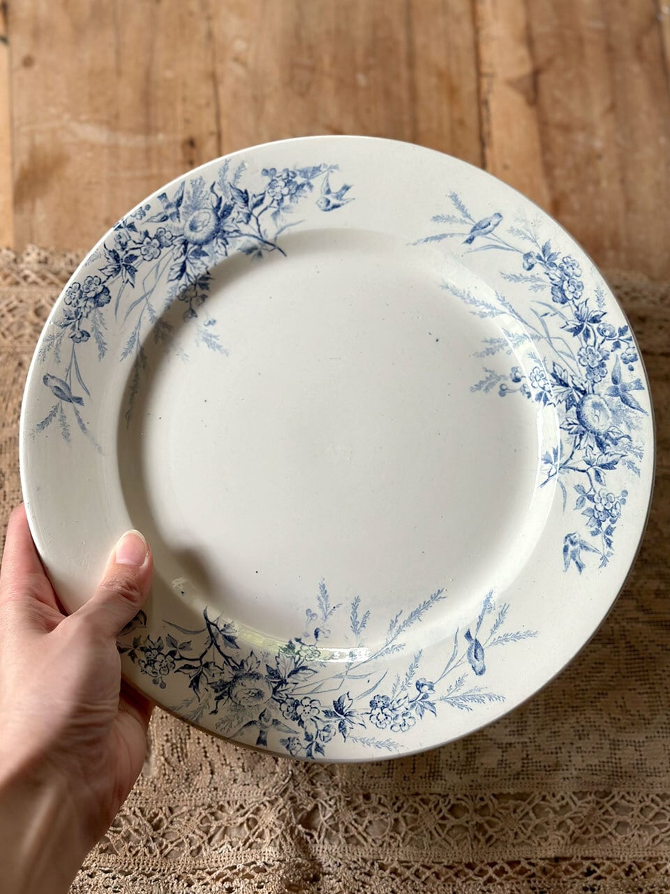 プレート 皿 Linotte 鳥の巣と卵 | Brocante de La Cocotte （フランス
