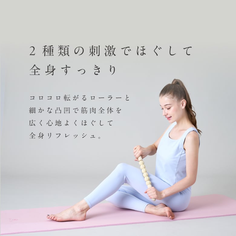 MIVIOS ポイントスティック MVS212 | ALINCO FITNESS