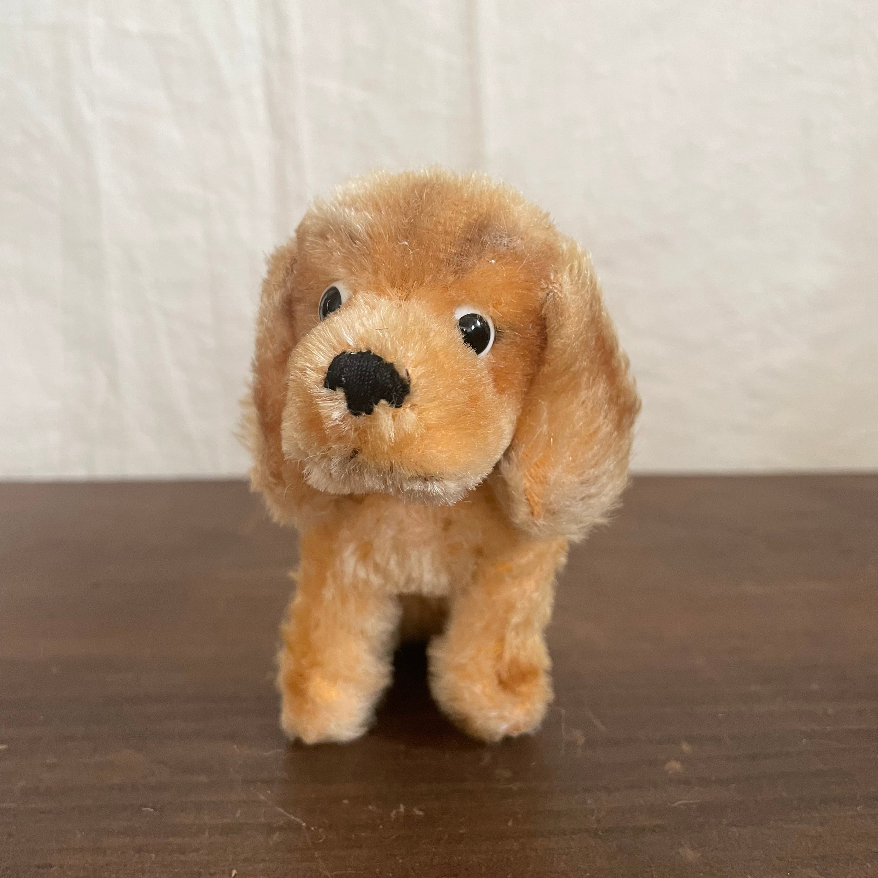 シュタイフの子犬2