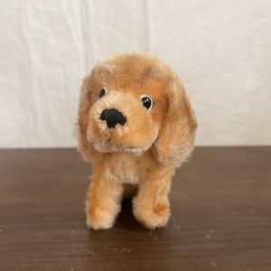 シュタイフの子犬2