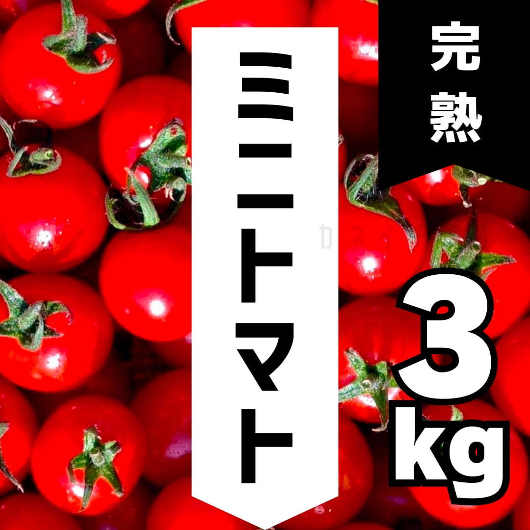 ☆キュウリA等級5kg、ミニトマト3kg キュウリA等級5kg、ミニトマト3kg
